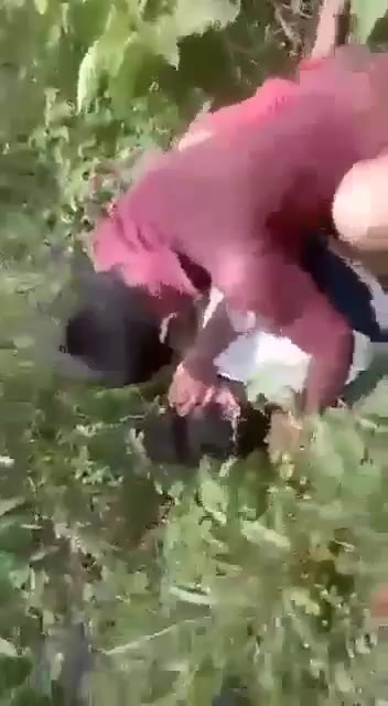 Forcefully Fuck School Girl In Forest