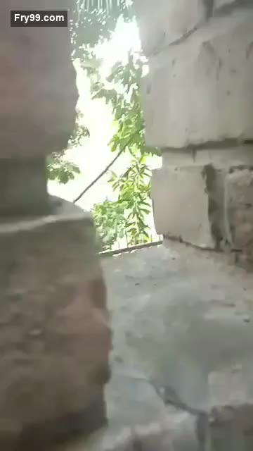 [Hidden Camera]School Girl Fucked By Her Boyfriend  At Park