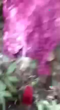 Girlfriend Gangbanged Infront Of Boyfriend