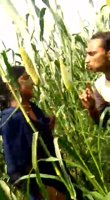 Girl Forced For Sex By Local Goons