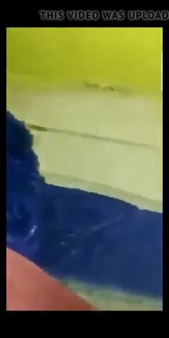 Hot Girlfriend Fucked 