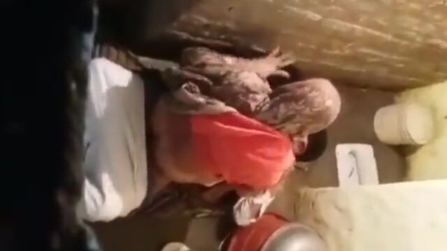 Old Man Having Affairs In Bathroom (Spying)