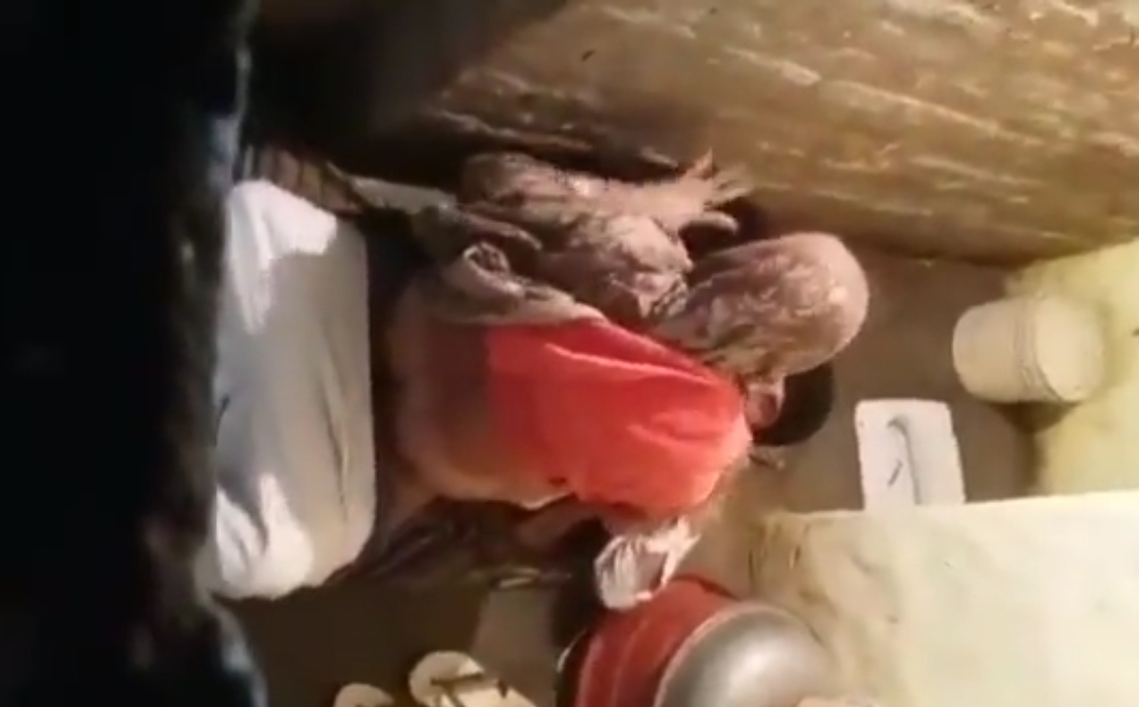 Old Man Having Affairs In Bathroom (Spying)