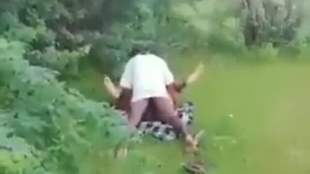 Women Got Caught While Sex In Forest