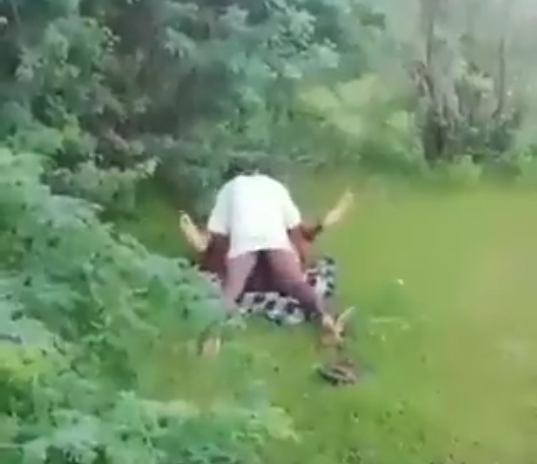 Women Got Caught While Sex In Forest