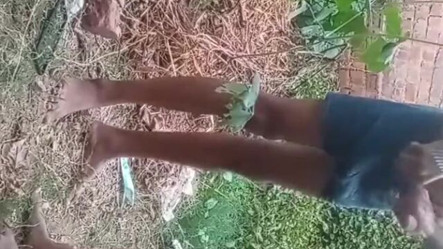 Village Aunty Fucked By Village Boy