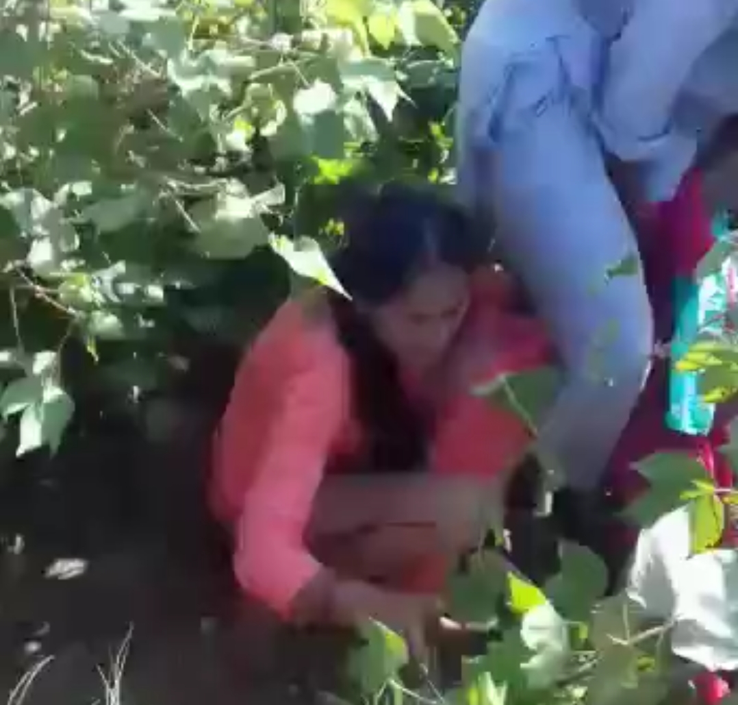 Girl Get Caught And Tried To Abuse